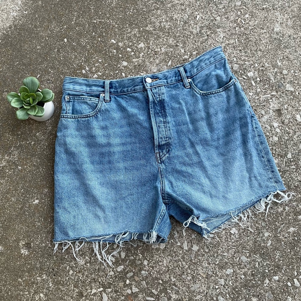 Everlane Light Blue Denim Jean Cutoff Shorts